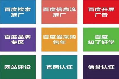 成功案例解析：SEM竞价员策略